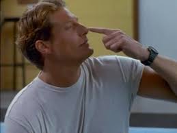 "Flipper" With Brothers Like This (TV Episode 1995)