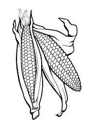 Corn coloring page illustrations & vectors. Corn Coloring Page 1001coloring Com