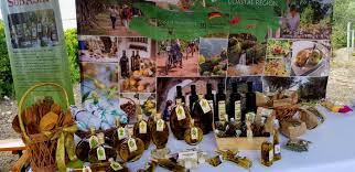 South Of Albania Celebrates The Olive Oil Day Webport