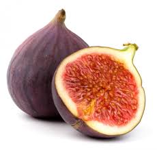 Image result for fig