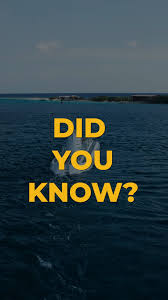 💬 𝐃𝐢𝐝 𝐲𝐨𝐮 𝐤𝐧𝐨𝐰?, Our submarines proudly holds certification from  the esteemed 𝐀𝐁𝐒