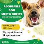 Adoptable Dog Meet & Greets with Central Texas SPCA