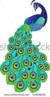 Peacock art peacock design peacock feathers drawing peacock sketch feather design peacock rangoli peacock colors lace design peacock embroidery designs. Peacock Drawings With Colour