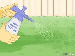 Diagnosing the fungal infection early is key to make treatments effective. 3 Ways To Treat Lawn Fungus Wikihow