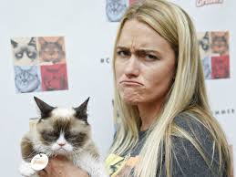 Grumpy Cat