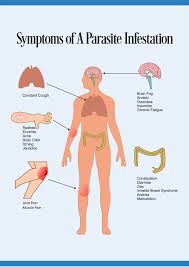 Cleanse Your Colon The Definitive Guide Share Tweet Share Share A Guide On How To Cleanse Your Colon An Intestinal Parasites Parasites Symptoms Colon Therapy