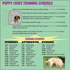 Free Printable Puppy Crate Training Schedule The Best Solution To Potty Train Your Dog And Prev Crate Training Puppy Schedule Crate Training Puppy Puppy Crate