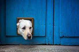 Stuck Images – Browse 3,919,101 Stock Photos, Vectors, and Video | Adobe  Stock