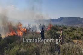Τιποτα δεν θα μασ χαρ Fwtia Twra Megales Pyrkagies Se Boiwtia Kai F8iwtida Eidhseis Pagenews Gr