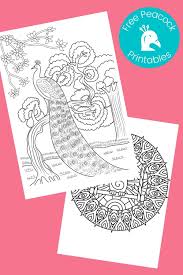 Print out animal duck coloring pages. Free Printable Peacock Coloring Pages Crafts Kids Love