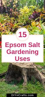 15 Clever Ways To Use Epsom Salt In The Garden Really Good Ideas Epsom Salt Garden Epsom Vegetable Garden Design