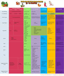 baby food chart for indian gomama 24 7 4 month litlestuff