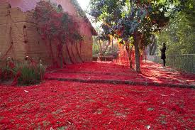 These lsrs are issued by local nws forecast offices for their area of responsibility. Site Specific Colossal Page 3