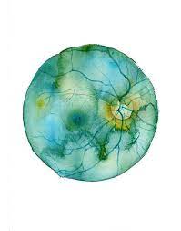 Retina Watercolor Print Abstract Eye Art Eye Anatomy Painting Optometry And Ophthalmology Art Teal Watercolor Art Print Eye Anatomy Eye Art Eye Painting