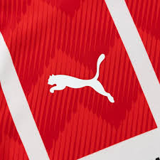 Ini adalah gambaran dari semua transfer klub dari musim yang terpilih. Psv 2021 22 Home Kit