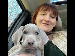 Fundraiser by David Shirman : Help Casper Make A Full Recovery From Kidney  Failure