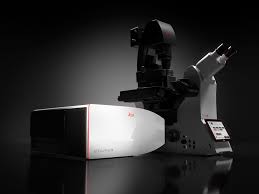Wann wurde die photovoltaik erfunden? Stellaris Produkte Leica Microsystems