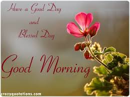 Good Morning Flower Hd Wallpaper Good Morning Good Morning Friends Images Good Morning Flowers Good Morning Wallpaper