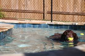 At home veterinary care is looking for a veterinary technician for immediate hire. At Home Veterinary Care 1833 Junwin Ct Tallahassee Fl Veterinarians Mapquest