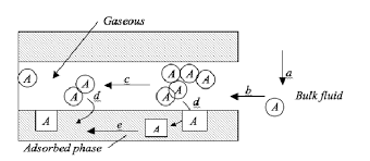 Because there is little change in the amount of adsorbate adsorbed. Steps Involved In The Adsorption Process Download Scientific Diagram