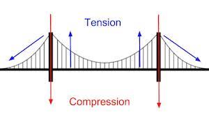 She follows them to tundratown and sees nick and finnick. How To Build A Suspension Bridge Model Study Com