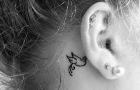 Black Bird Tattoo Behind Ear Sparrow Tattoo Behind Ear Been Thinking About This For A Couple Of Years Ear Tattoo Body Art Tattoos Tattoos