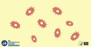We may be able to stop antibiotics before we reach the end of our course. Antibiotic Resistance Questions And Answers Antibiotic Use Cdc