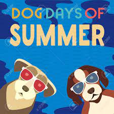 Check spelling or type a new query. Dog Days Of Summer Time For Adventure Cute Comic Cartoon Colorful Humor Retro Style Dogs In Sunglasses Enjoy Beach Fun Leisure Relax Summertime Vacation Journey Vector Banner Background Template Royalty Free Cliparts