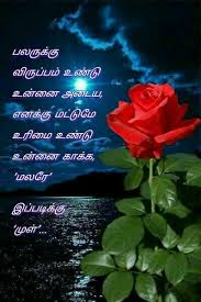 Pin By Rathy Karuna On Beautiful Words Tamil Love Quotes Love Quotes Life Quotes