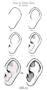 How To Draw Ears Anime Drawings Tutorials Drawing Tutorial Face How To Draw Ears