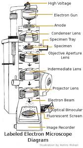 Check spelling or type a new query. A Study Of The Microscope And Its Functions With A Labeled Diagram Electron Microscope Microscope Microscope Parts