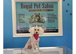 Baths starting at $35 & up! 3 Best Pet Grooming In Mcallen Tx Expert Recommendations