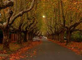 10 best villas and apartments in golden mile. Walk The Golden Mile Scenery Melbourne Autumn Scenery