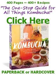 Kombucha Recipe 1 Gallon Shortcut Method Kombucha Kamp Recipe Kombucha Recipe Kombucha Benefits Kombucha