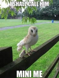 A stylized bird with an open mouth, tweeting. F U N N Y A N I M A L M E M E S F O R K I D S Zonealarm Results