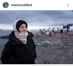 Pin By Honey Bee On Infatuation In 2020 Marion Cotillard Marion Instagram