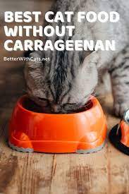 7 Best Cat Foods Without Carrageenan Best Cat Food Cat Food Cat Food Brands
