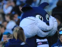 This is what mummy was making all that noise for when squishy was still cooking! Gallery Geelong Cats Open Training Session Townsville Bulletin