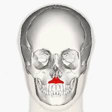 Facial Muscles Upper Group Physiopedia