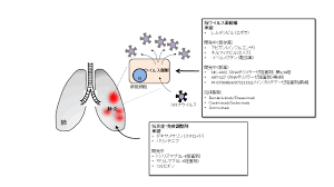 ヘルプ 安全フィルター 利用規約 プライバシー creator portal コミュニティガイドライン 著作権. Covid 19ã«å¯¾ã™ã‚‹å€™è£œè–¬å‰¤åŠã³é–‹ç™ºçŠ¶æ³ ç¬¬3ç‰ˆ Covid 19æœ‰è­˜è€…ä¼šè­°