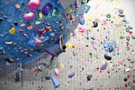 The company's filing status is listed as active and its file number is 611380. Arizona Indoor Rock Climbing Gyms Brie Brie Blooms