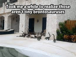 We did not find results for: Best Dinosaur Memes Of The Internet