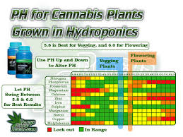 The Best Ec For Cannabis Plants Hydroponic Growing