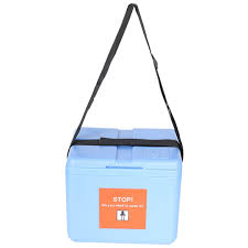 FAIRBIZPS Mini Vaccine Carrier Box with 2 Ice Pack Small ...