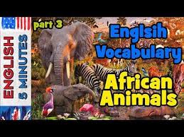 English Vocabulary Animals English Vocabulary Vocabulary Animals
