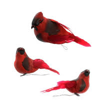 Find the perfect red cardinal stock photos and editorial news pictures from getty images. Purchase The Red Cardinal Set By Ashland At Michaels