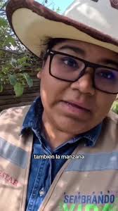 Como Hacer Orejones De Durazno