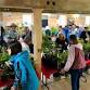 Old Bristol Garden Club Annual Plant Sale