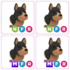 Maybe you would like to learn more about one of these? What Does A Neon Australian Kelpie Look Like In Adopt Me