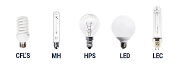 My intention was to use led but after. Die Vor Und Nachteile Von Lec Lampen Fur Den Cannabisanbau Rqs Blog